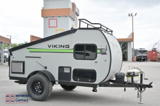 VIKING EXPRESS 2020